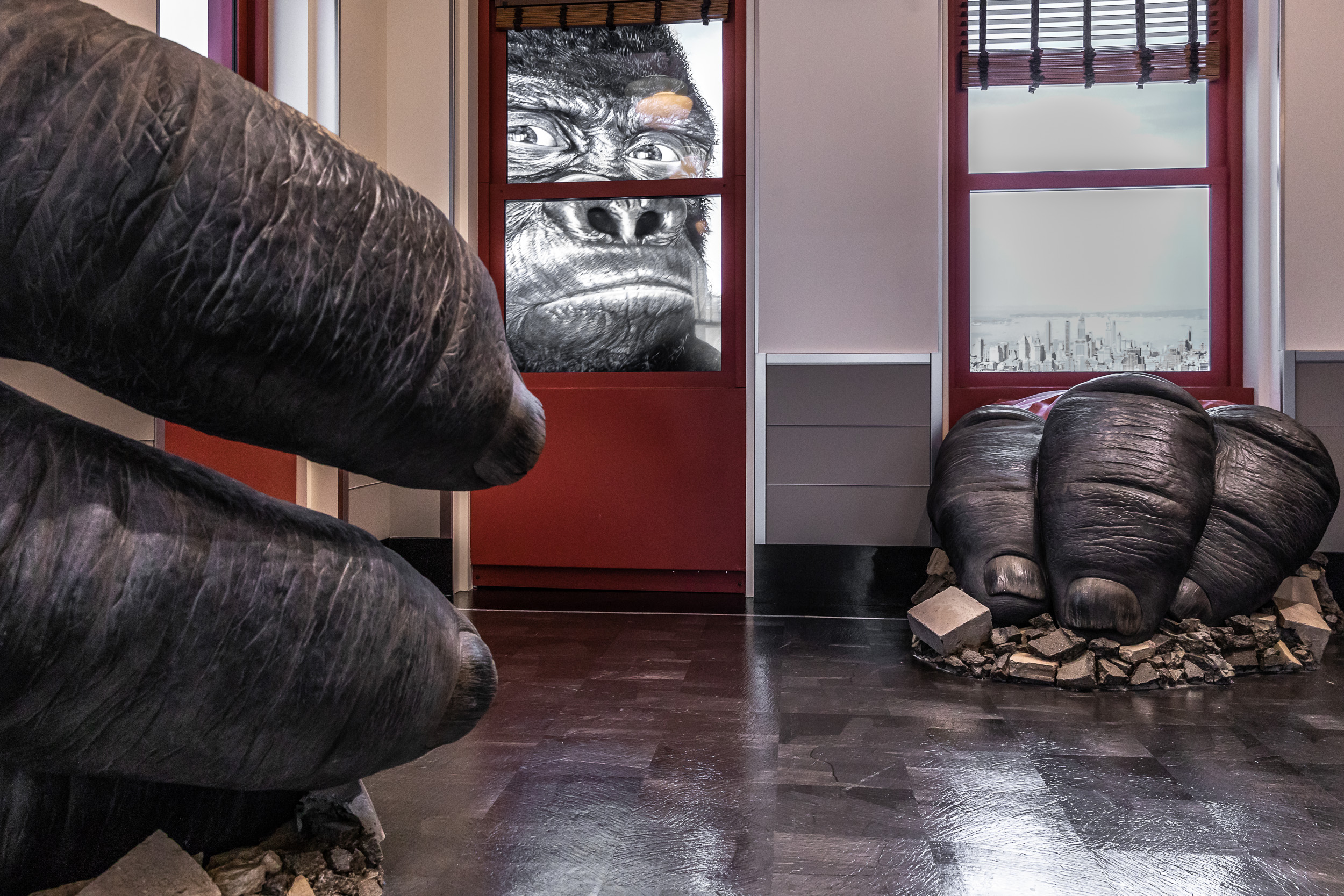 The Kong exhibit